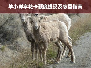 羊小咩享花卡额度提现及恢复指南