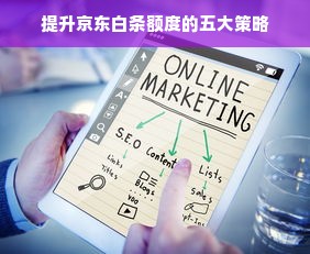 提升京东白条额度的五大策略