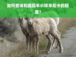 如何查询和提现羊小咩享花卡的额度？