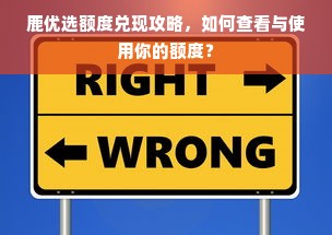 鹿优选额度兑现攻略，如何查看与使用你的额度？