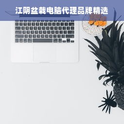 江阴盆栽电脑代理品牌精选