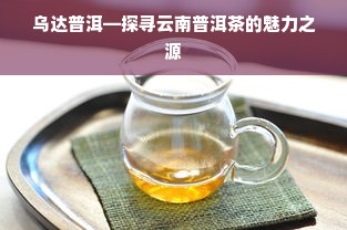 乌达普洱—探寻云南普洱茶的魅力之源