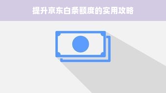 提升京东白条额度的实用攻略