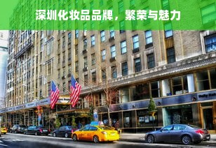 深圳化妆品品牌，繁荣与魅力
