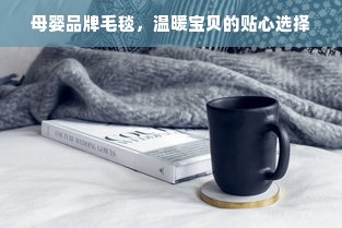 母婴品牌毛毯，温暖宝贝的贴心选择