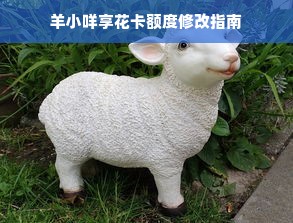 羊小咩享花卡额度修改指南