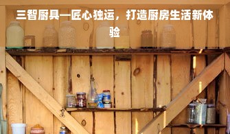 三智厨具—匠心独运，打造厨房生活新体验