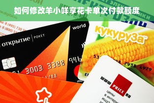 如何修改羊小咩享花卡单次付款额度