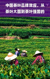 中国茶叶品牌效应，从茶叶大国到茶叶强国的华丽转身