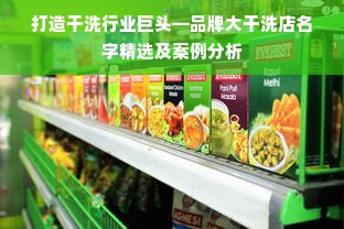 打造干洗行业巨头—品牌大干洗店名字精选及案例分析