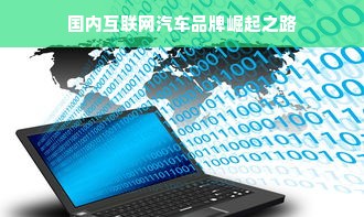 国内互联网汽车品牌崛起之路