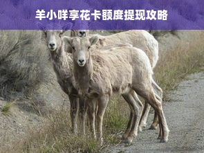 羊小咩享花卡额度提现攻略