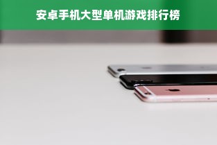 安卓手机大型单机游戏排行榜