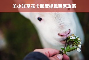 羊小咩享花卡额度提现商家攻略