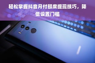 轻松掌握抖音月付额度提现技巧，降低设置门槛