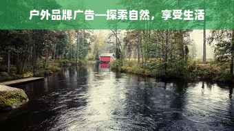 京东白条额度套现攻略，商家协助与退款恢复指南