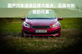 国产汽车油漆品牌大盘点，品质与创新的代表
