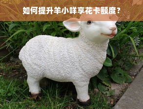如何提升羊小咩享花卡额度？