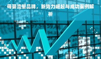 母婴流量品牌，新势力崛起与成功案例解析