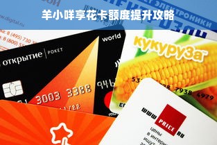 羊小咩享花卡额度提升攻略