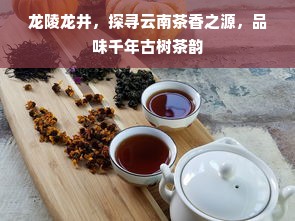 龙陵龙井，探寻云南茶香之源，品味千年古树茶韵