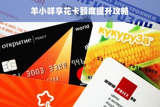 羊小咩享花卡额度提升攻略