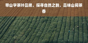带山字茶叶品牌，探寻自然之韵，品味山间茶香
