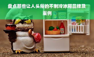 盘点那些让人头疼的不制冷冰箱品牌及案例