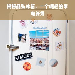 揭秘晶弘冰箱，一个崛起的家电新秀