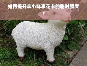 如何提升羊小咩享花卡的临时额度？