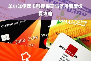 羊小咩便荔卡额度提现与信用额度恢复攻略