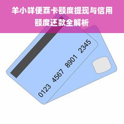 羊小咩便荔卡额度提现与信用额度还款全解析