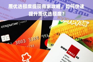 鹿优选额度提现商家攻略，如何快速提升鹿优选额度？