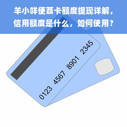 羊小咩便荔卡额度提现详解，信用额度是什么，如何使用？
