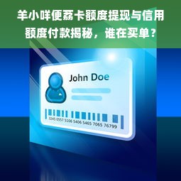 羊小咩便荔卡额度提现与信用额度付款揭秘，谁在买单？