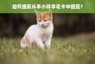 双开门冰箱选购指南，五大品质品牌解析与选购技巧