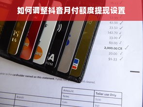 如何调整抖音月付额度提现设置