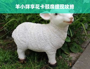 羊小咩享花卡额度提现攻略