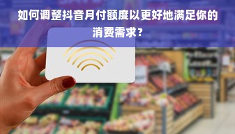 如何调整抖音月付额度以更好地满足你的消费需求？