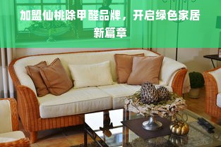 加盟仙桃除甲醛品牌，开启绿色家居新篇章