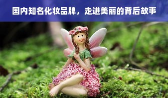 国内知名化妆品牌，走进美丽的背后故事