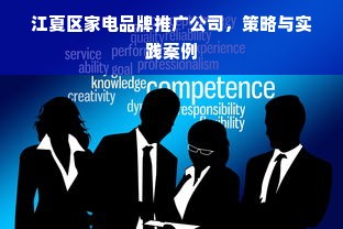 江夏区家电品牌推广公司，策略与实践案例