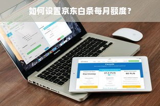 如何设置京东白条每月额度？