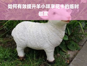 如何有效提升羊小咩享花卡的临时额度