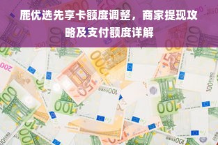 鹿优选先享卡额度调整，商家提现攻略及支付额度详解