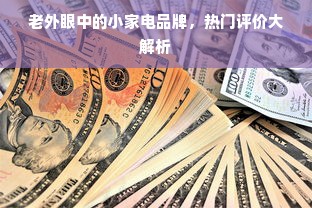 老外眼中的小家电品牌，热门评价大解析