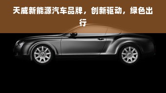 天威新能源汽车品牌，创新驱动，绿色出行