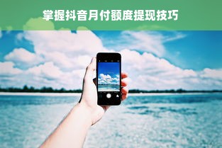 掌握抖音月付额度提现技巧