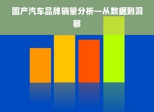 国产汽车品牌销量分析—从数据到洞察