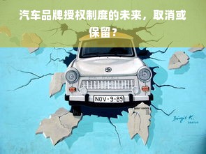 汽车品牌授权制度的未来，取消或保留？